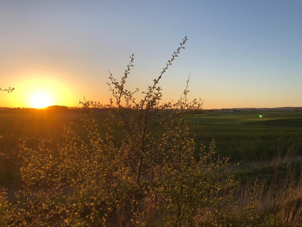 Rosdala Gard - Gaesthuset *