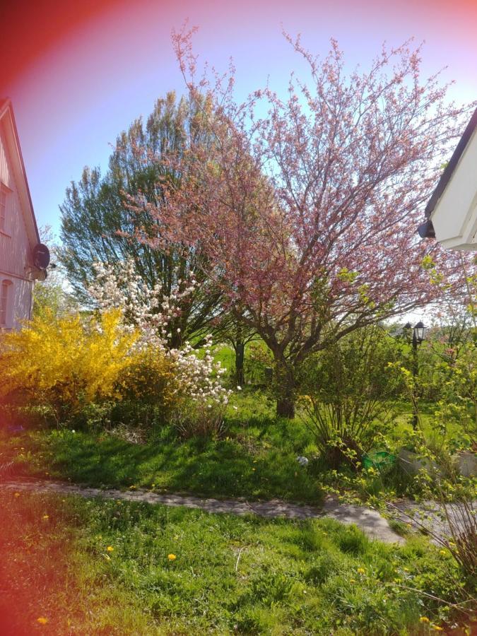 Rosdala Gard - Gaesthuset * Rydsgard