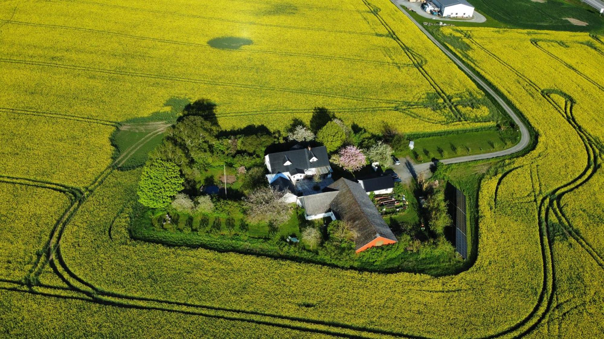 Holiday home Rosdala Gard - Gaesthuset